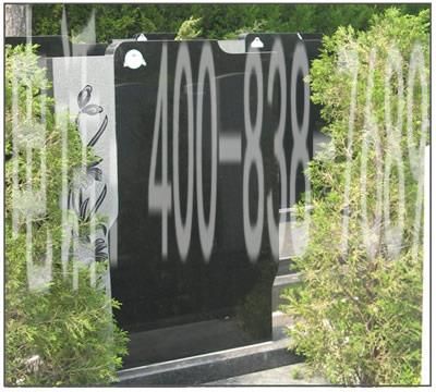 菊园二区